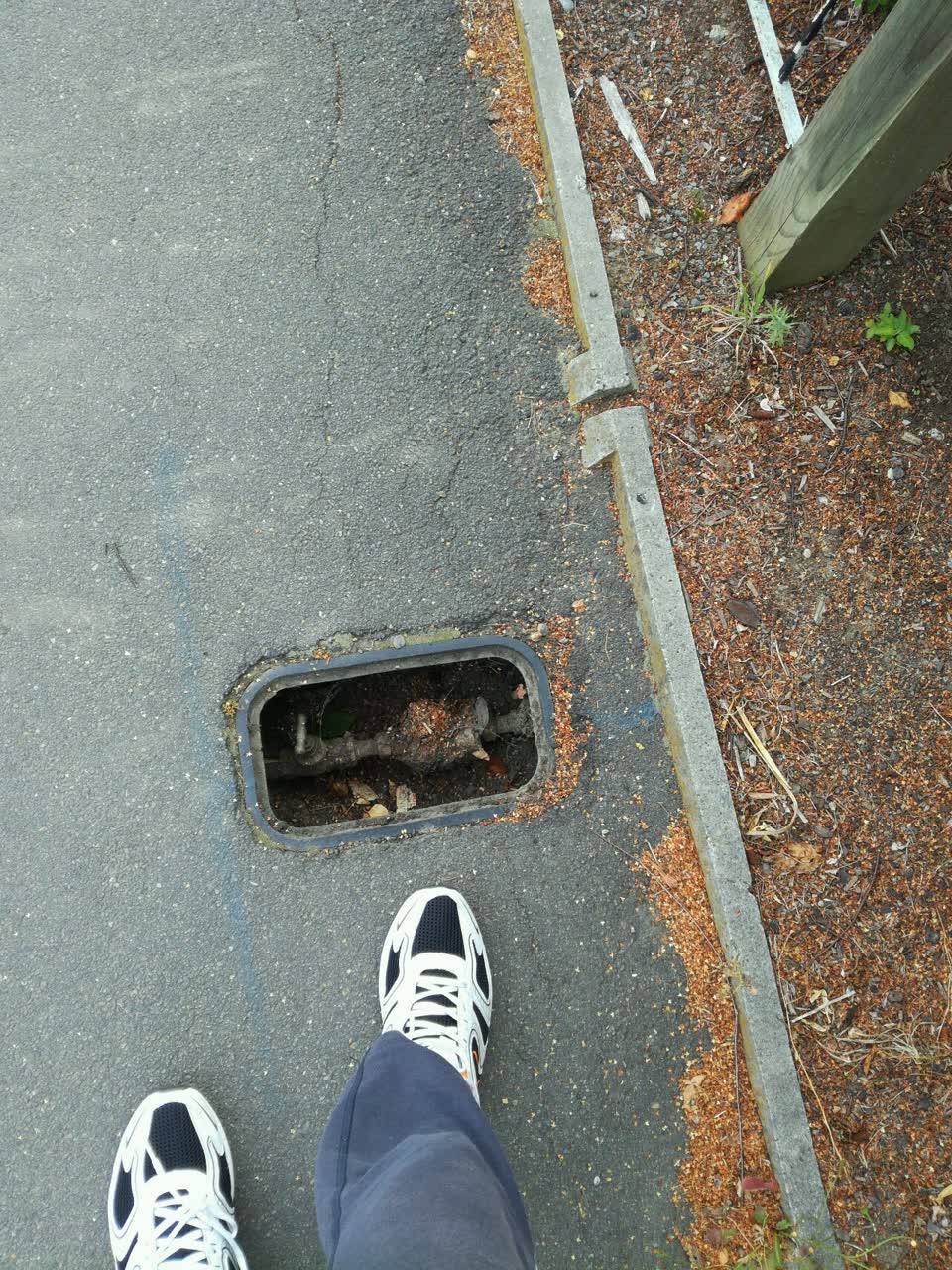 The photograph attached to this water supply report