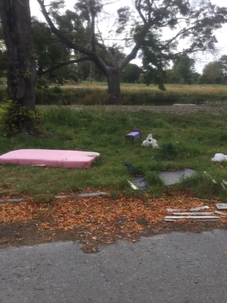 The photograph attached to this rubbish/recycling report