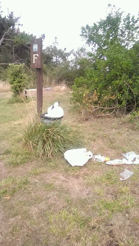 Rubbish/Recycling, a report photo