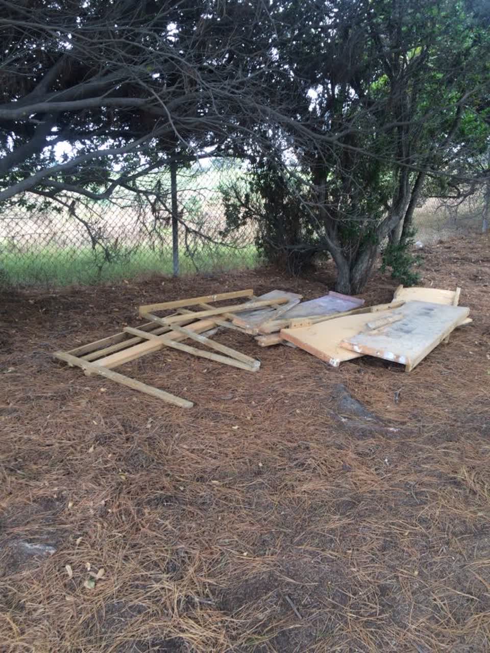 The photograph attached to this parks report
