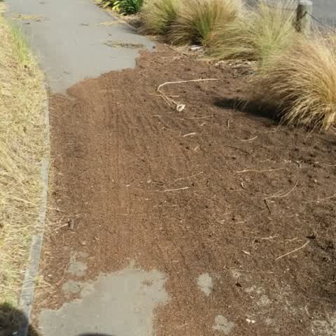Parks, a report photo