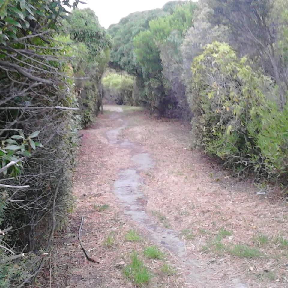 The photograph attached to this parks report