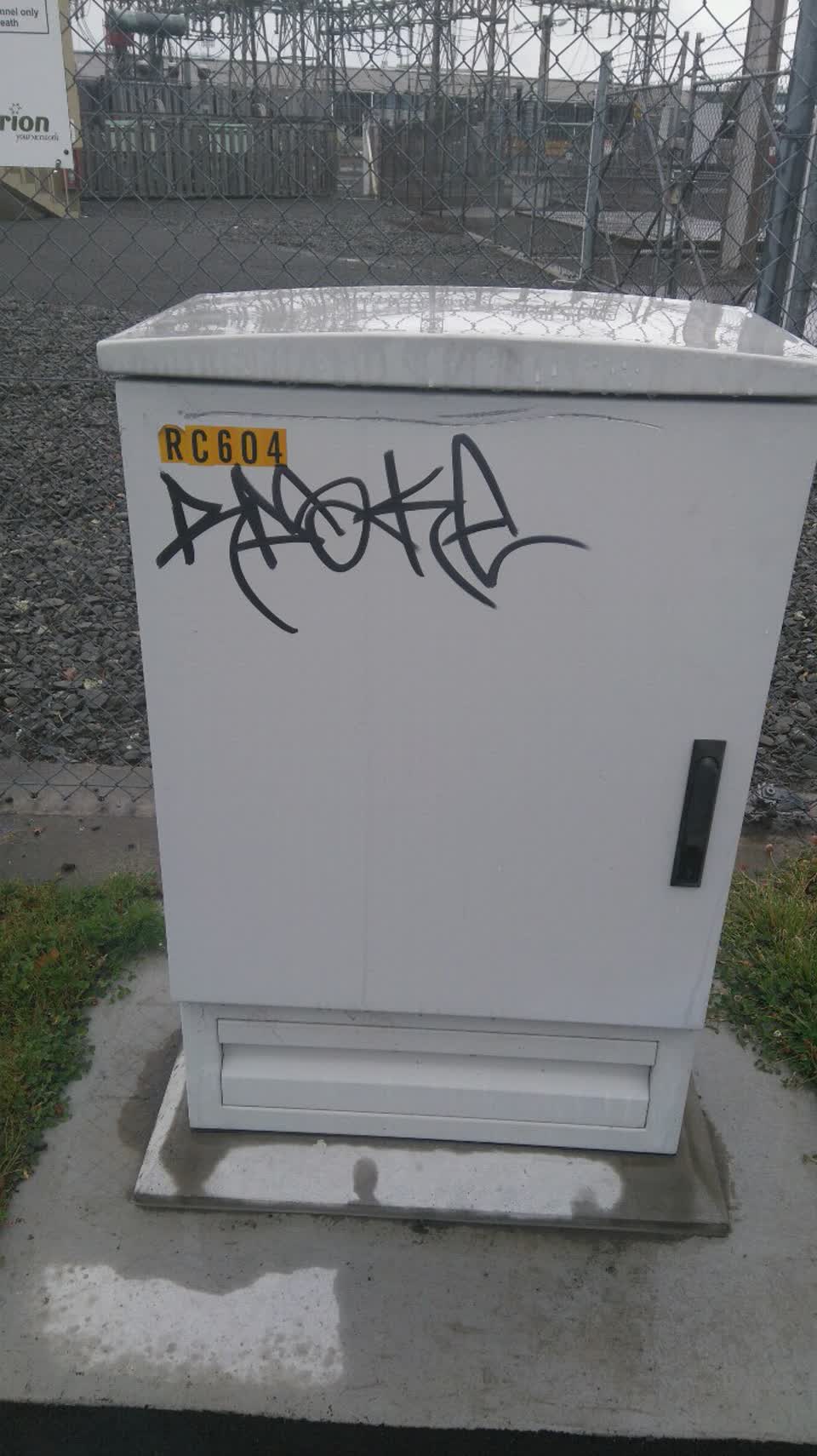 The photograph attached to this graffiti report