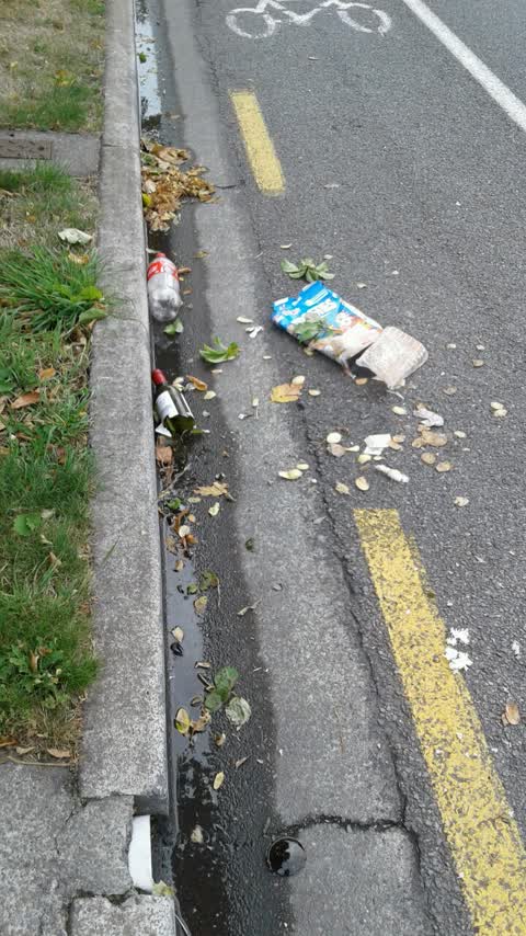Rubbish/Recycling, a report photo