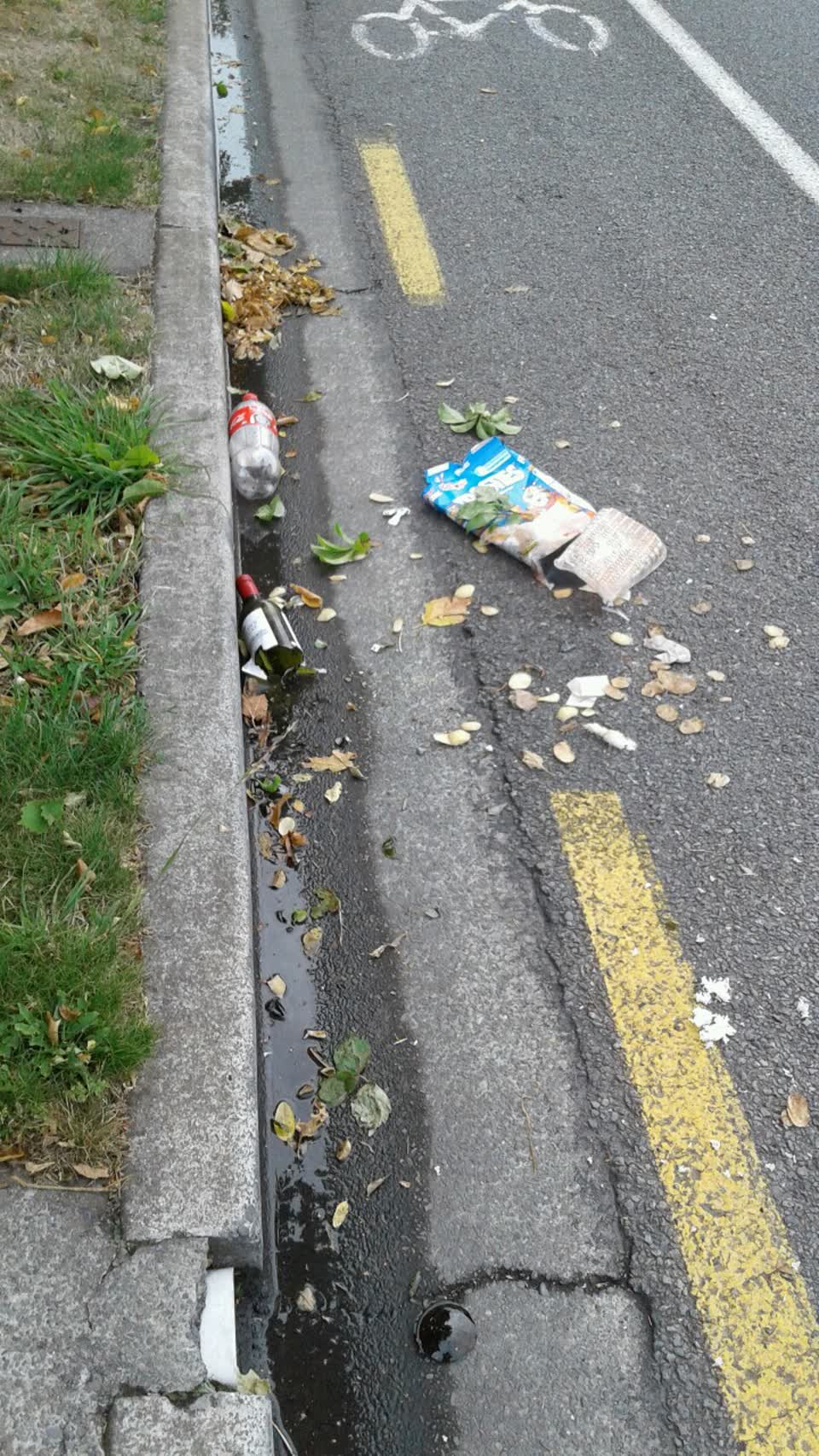 The photograph attached to this rubbish/recycling report