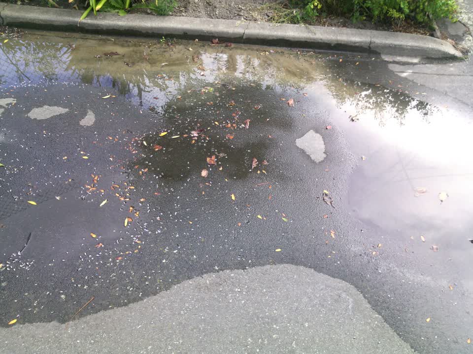 The photograph attached to this water supply report