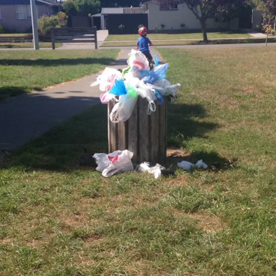 The photograph attached to this rubbish/recycling report