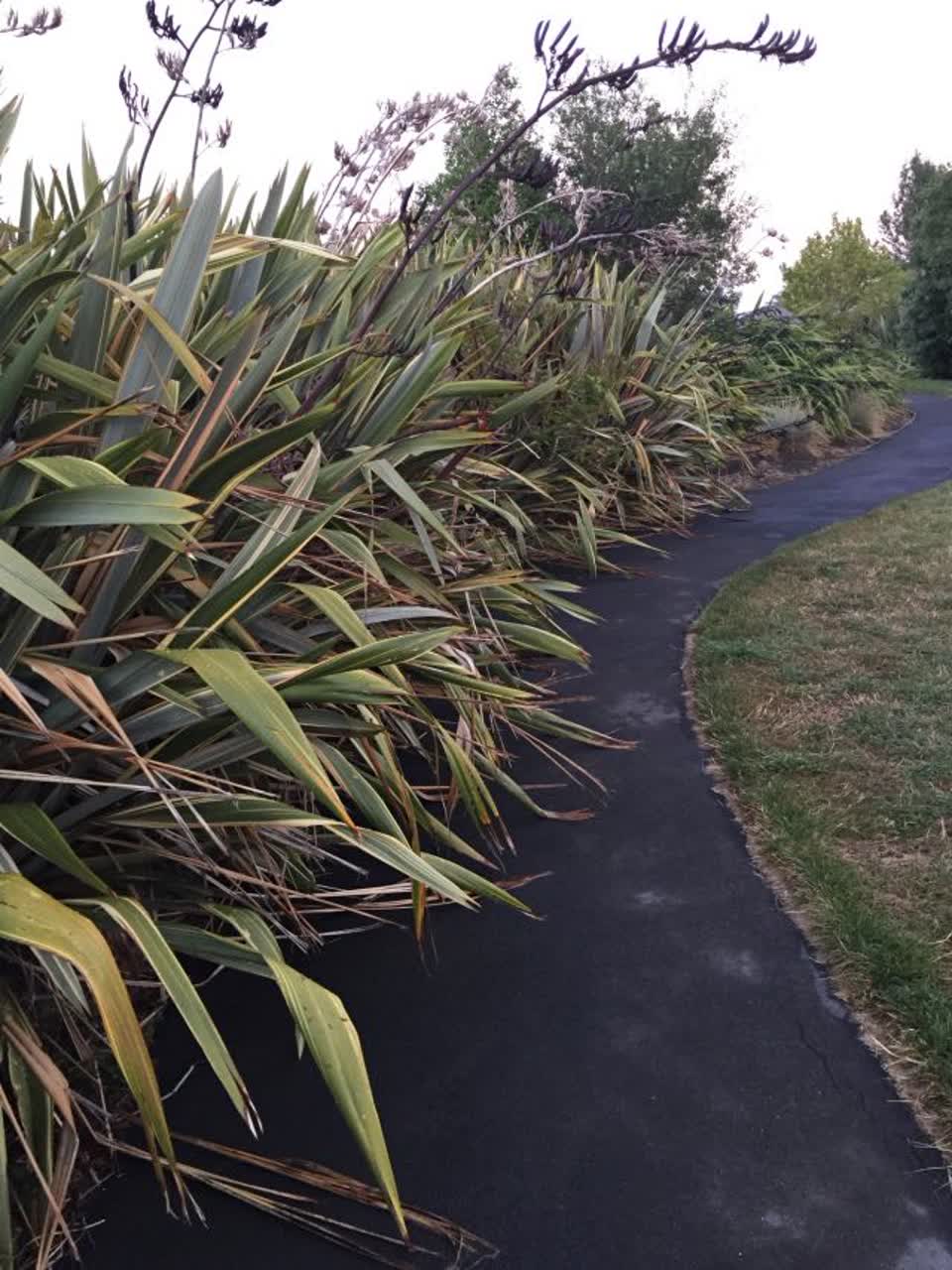 The photograph attached to this parks report