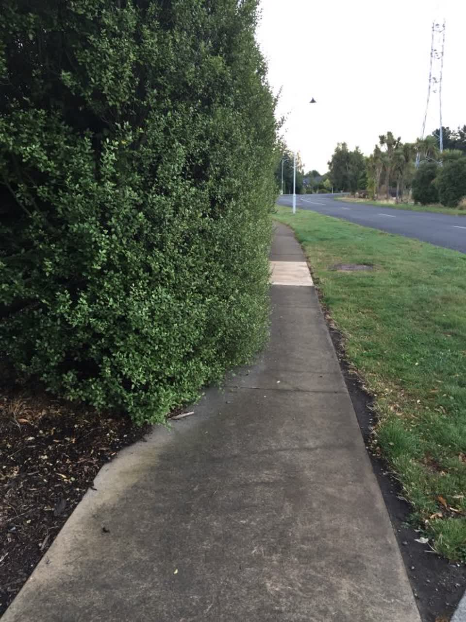 The photograph attached to this parks report