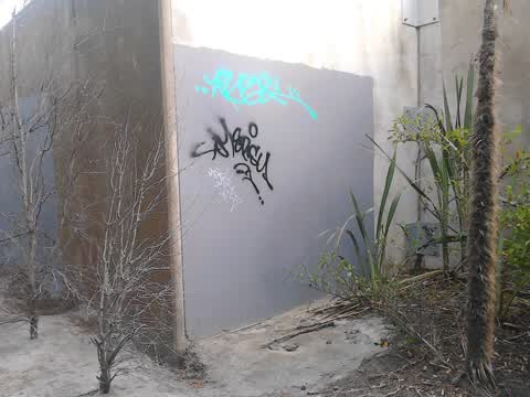 Graffiti, a report photo