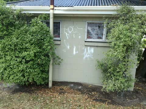 Graffiti — a report photo