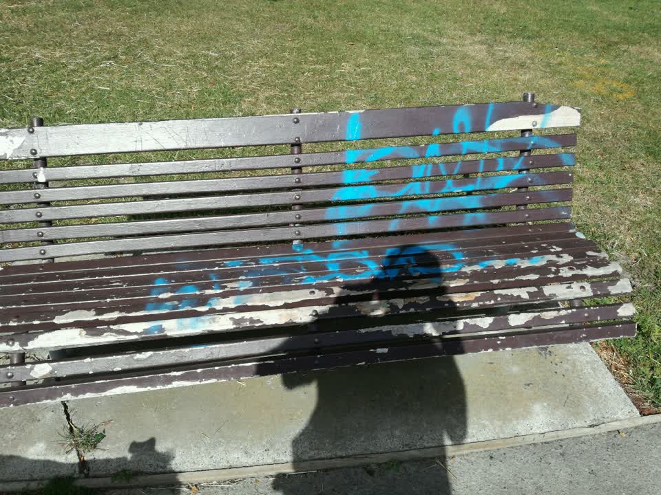 The photograph attached to this graffiti report