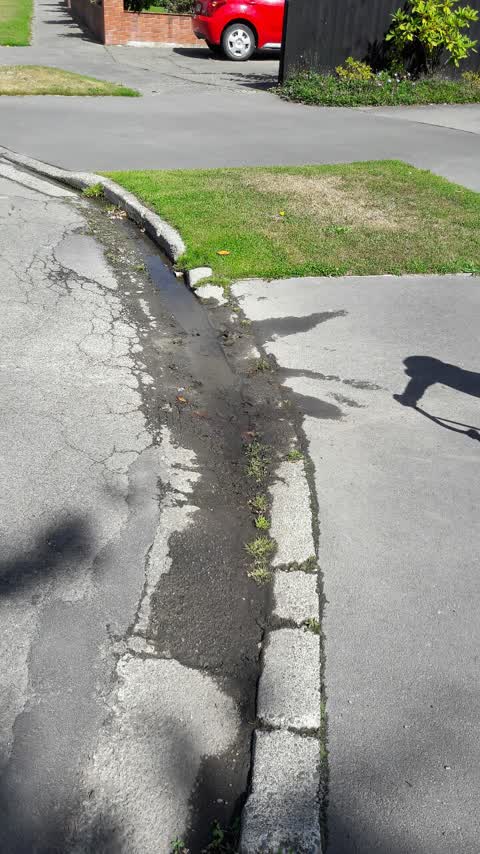 Roading/Streets, a report photo