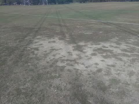 Parks — a report photo