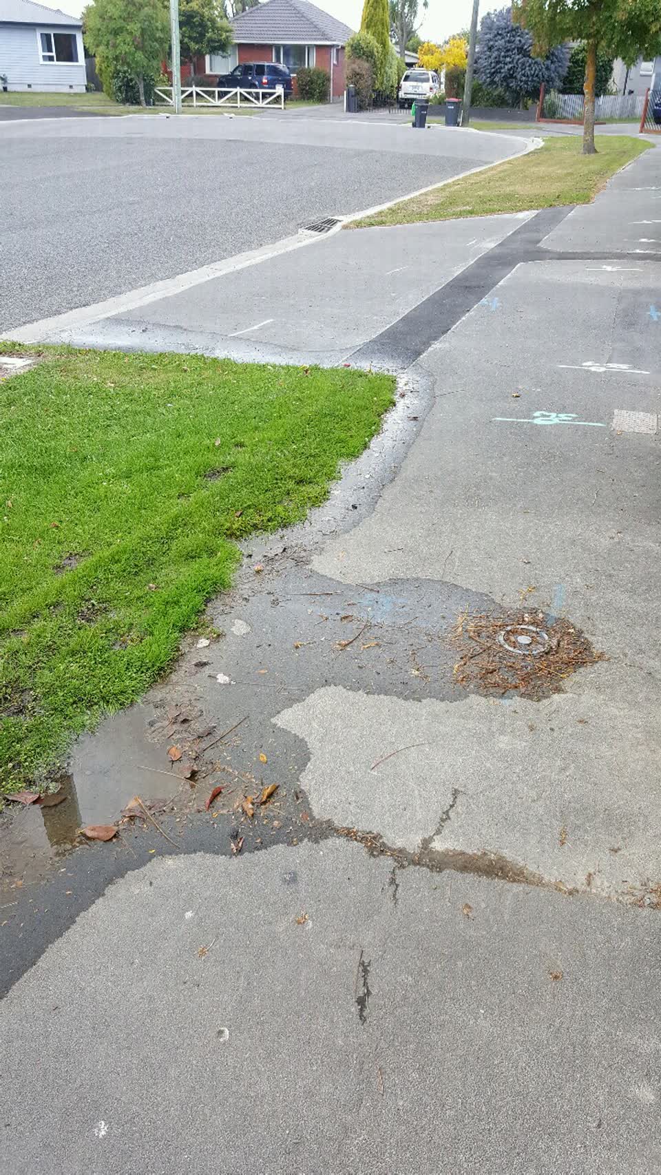 The photograph attached to this water supply report