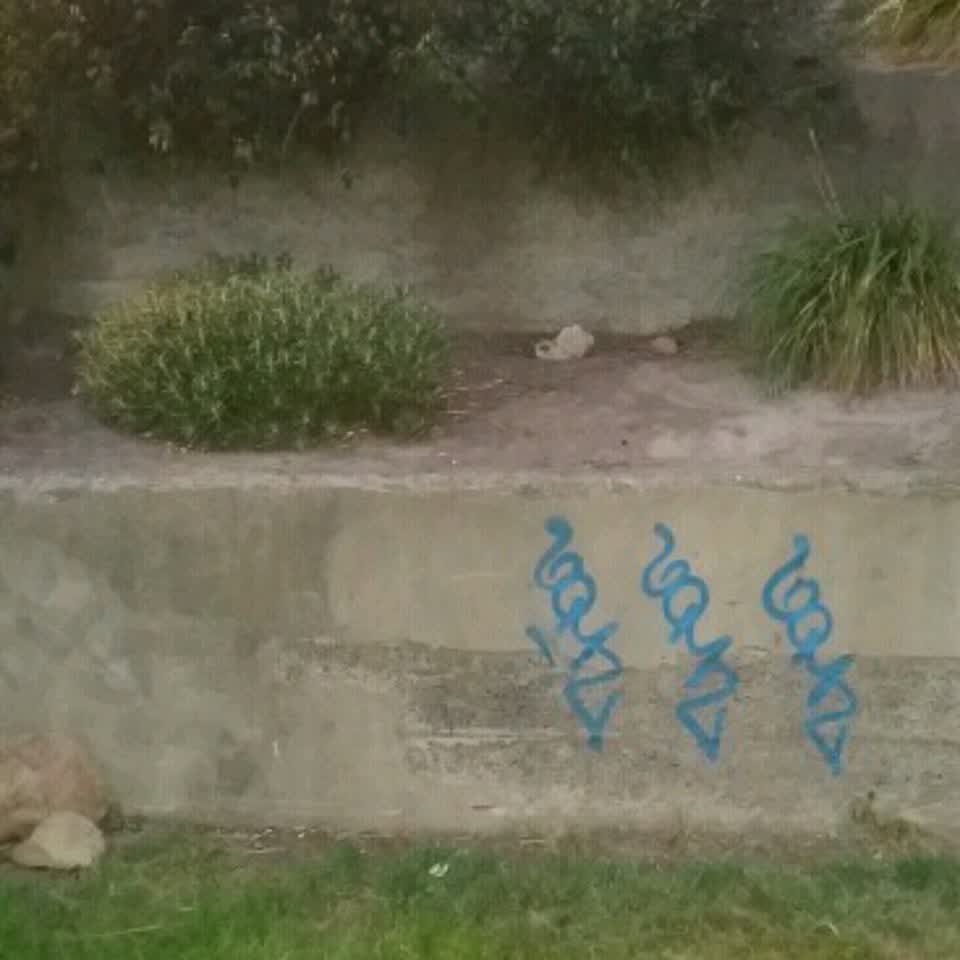 The photograph attached to this graffiti report