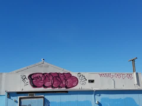 Graffiti, a report photo