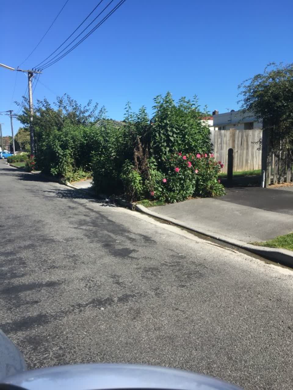 The photograph attached to this roading/streets report
