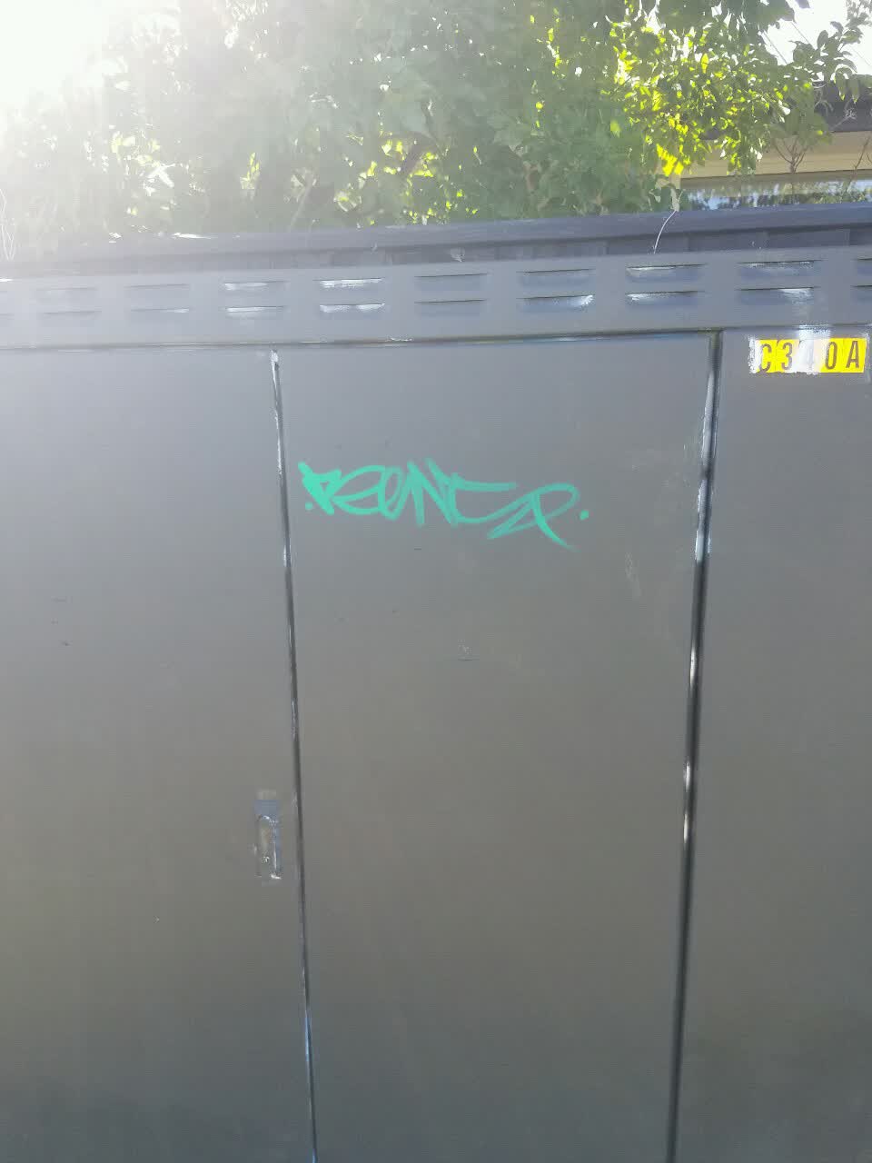 The photograph attached to this graffiti report