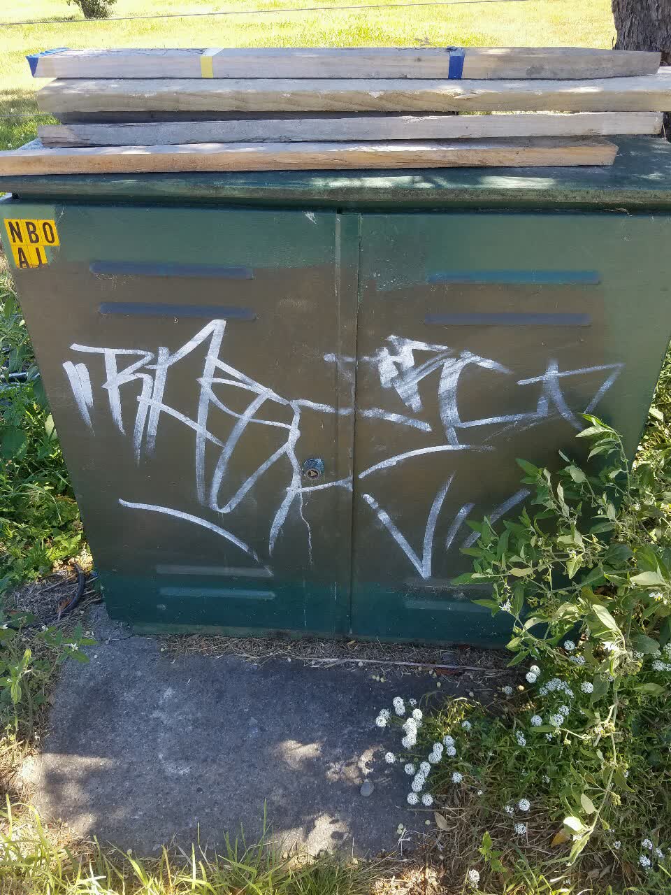 The photograph attached to this graffiti report