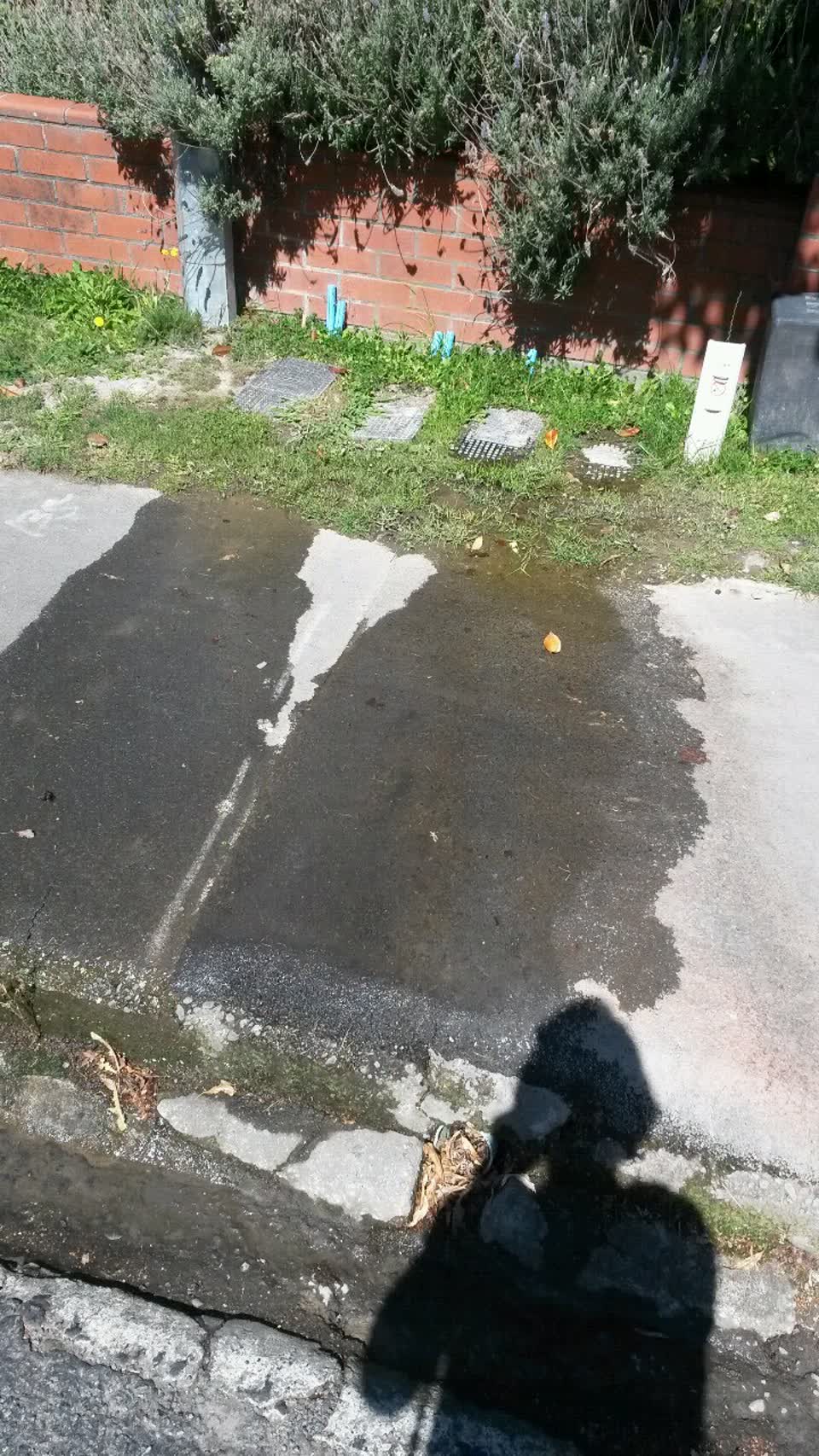 The photograph attached to this water supply report