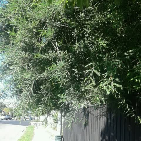 Roading/Streets, a report photo