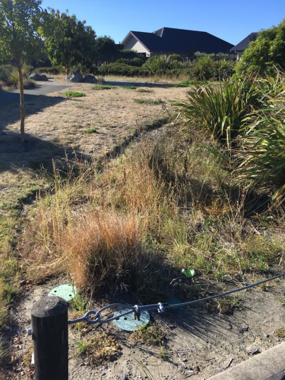 The photograph attached to this parks report