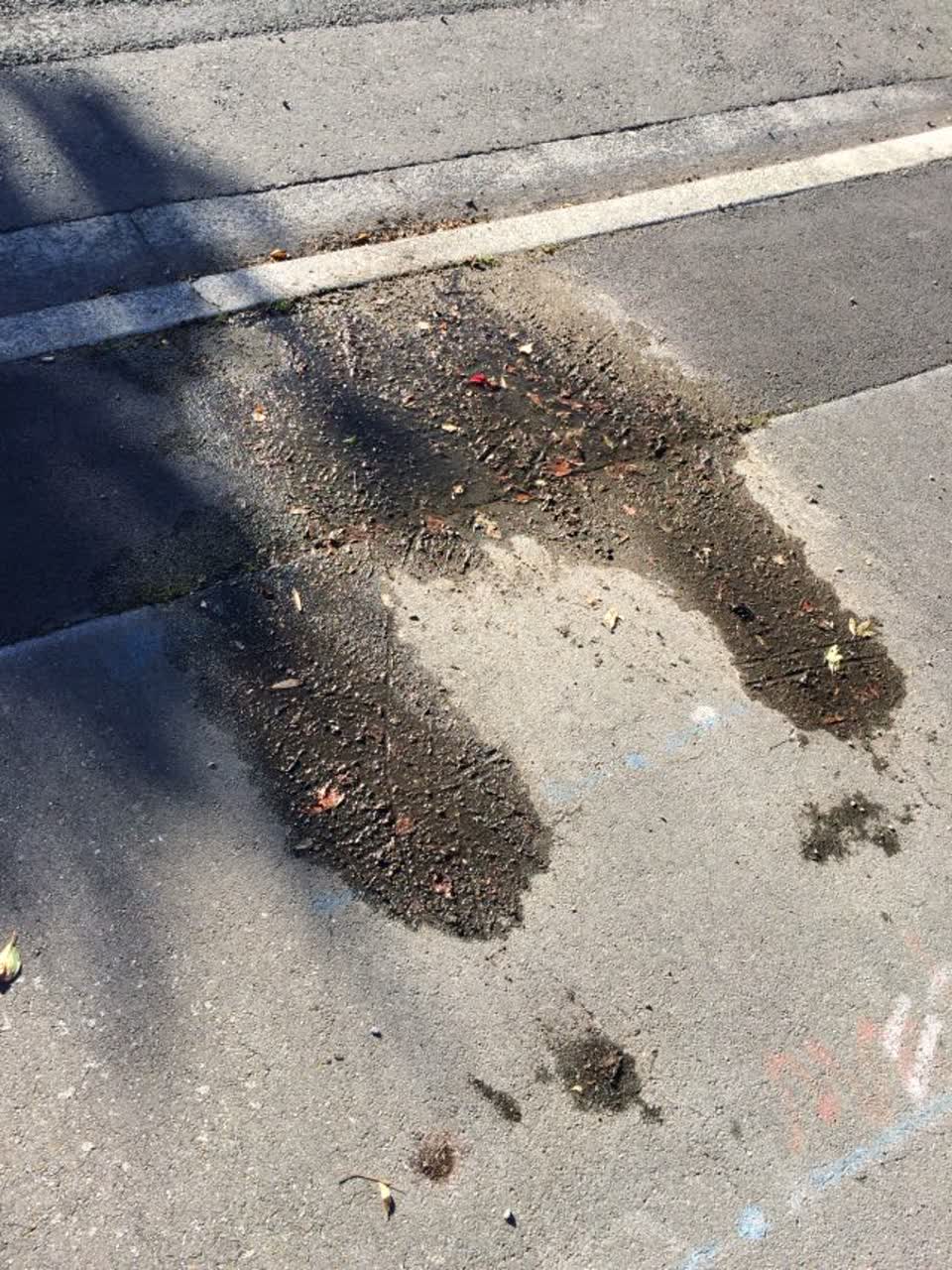 The photograph attached to this water supply report