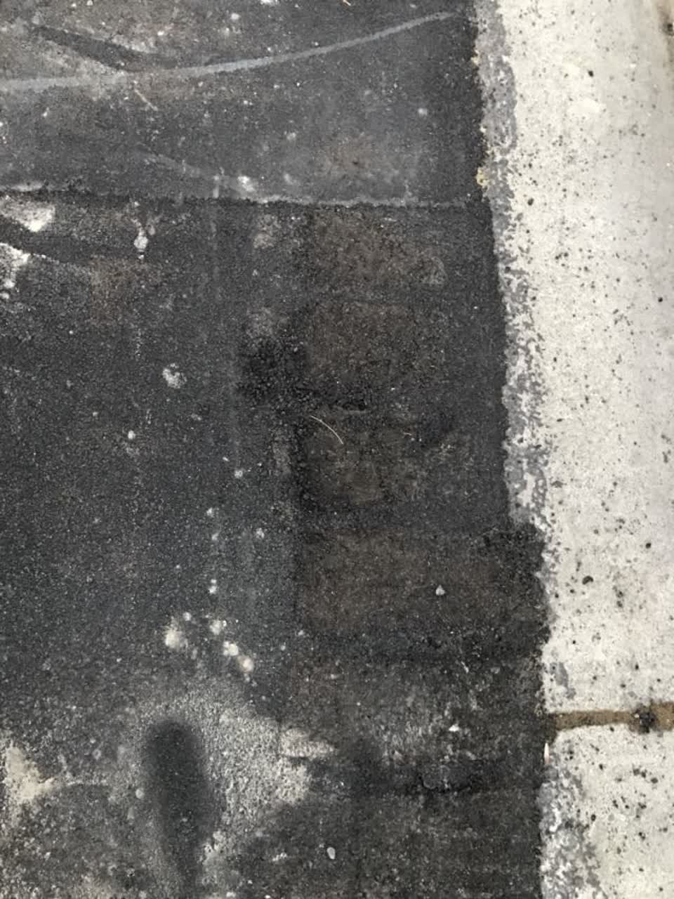 The photograph attached to this roading/streets report
