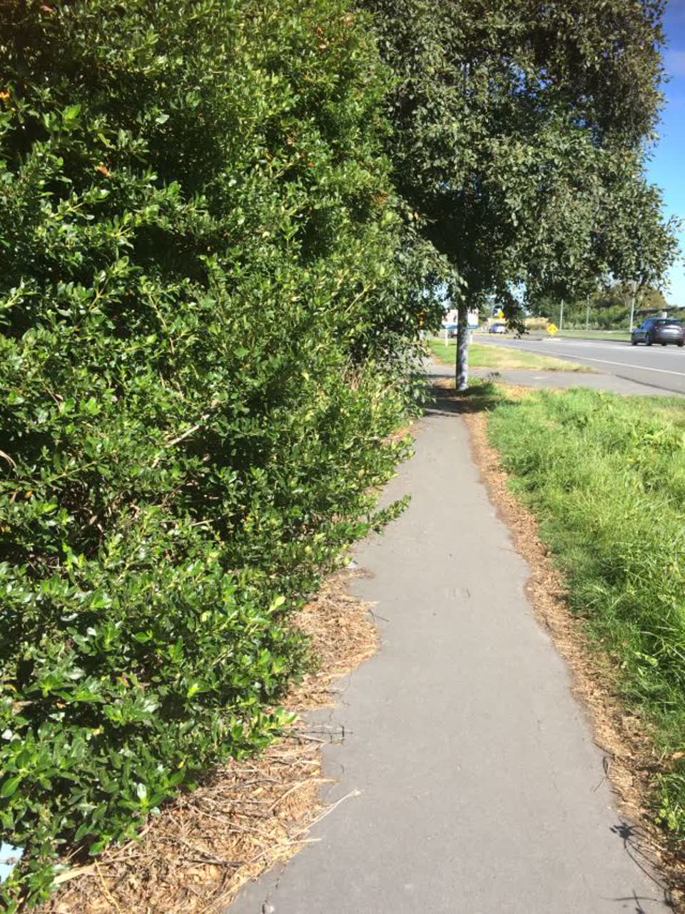 The photograph attached to this roading/streets report