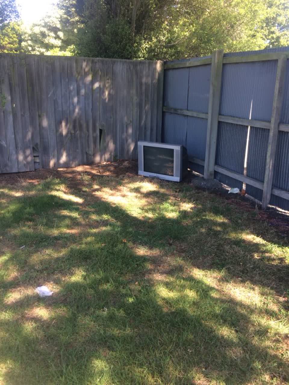 The photograph attached to this parks report