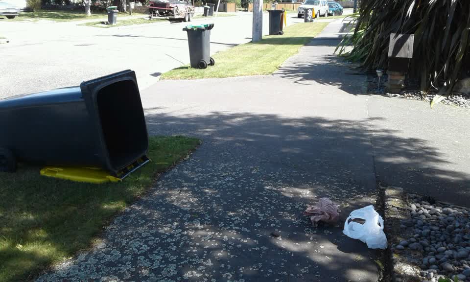 The photograph attached to this rubbish/recycling report