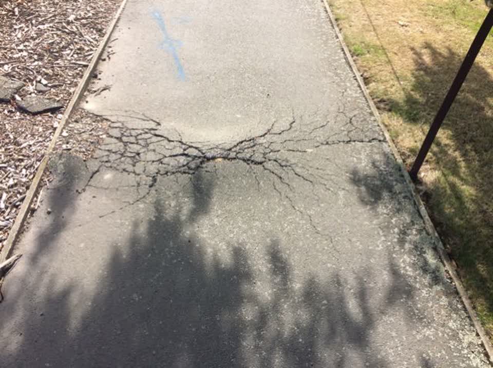 The photograph attached to this roading/streets report