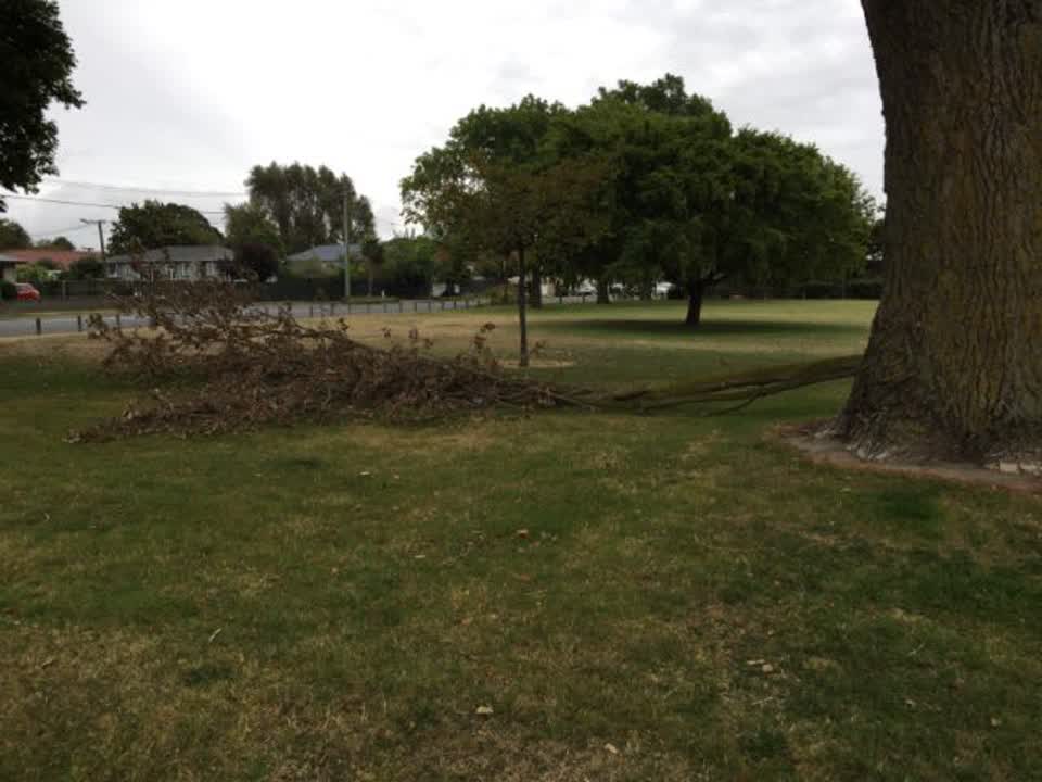 The photograph attached to this parks report