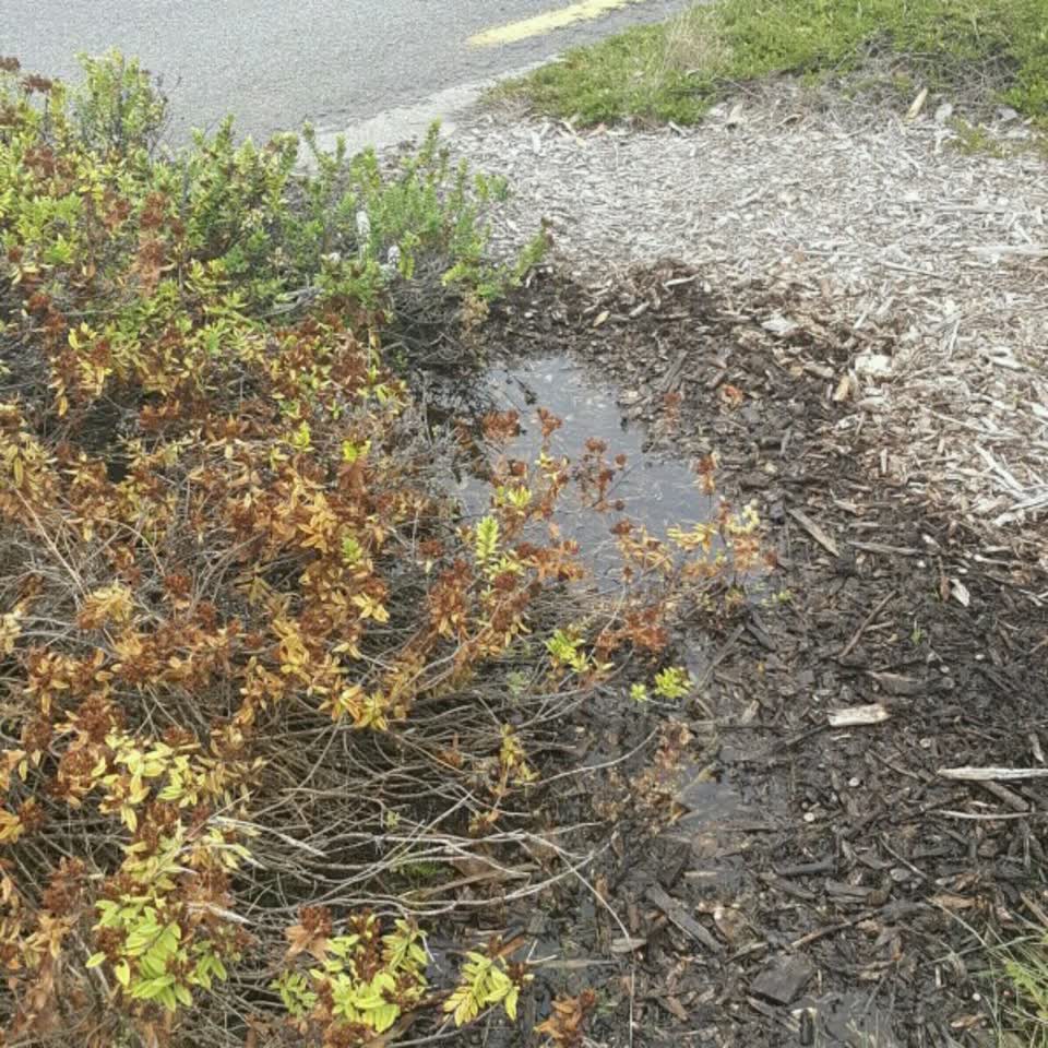 The photograph attached to this water supply report