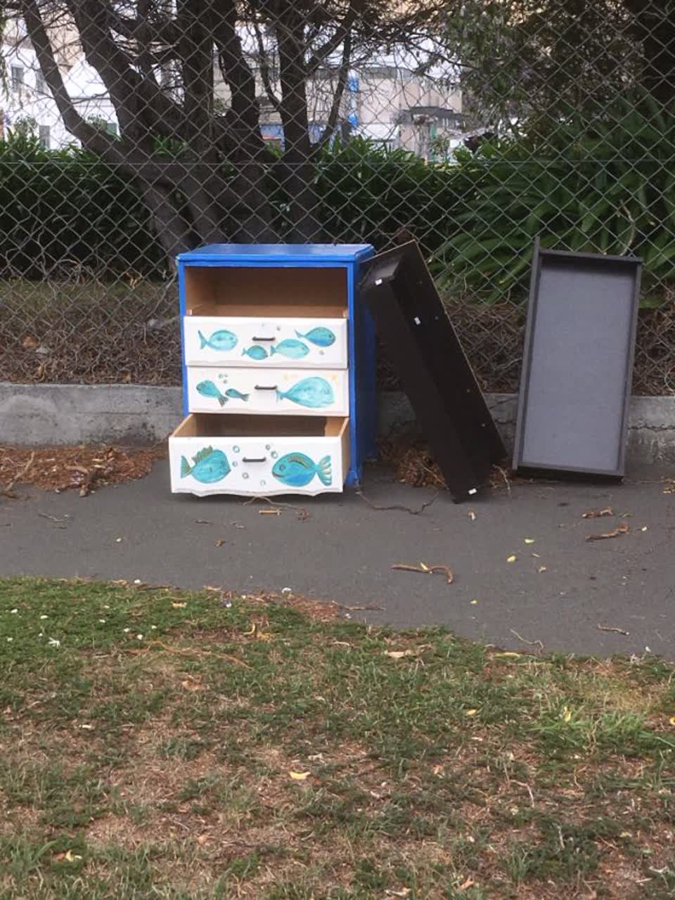 The photograph attached to this rubbish/recycling report