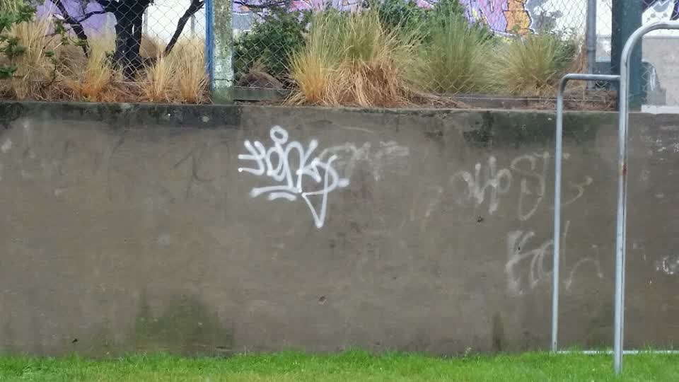 The photograph attached to this graffiti report