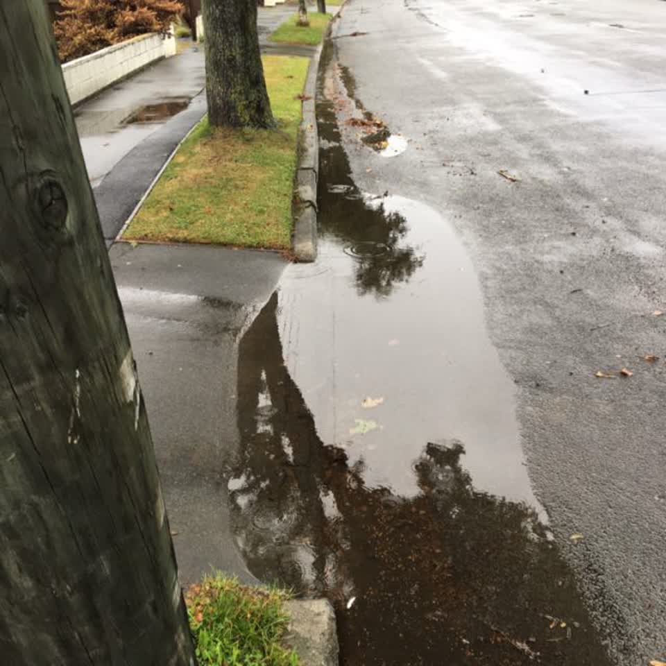 The photograph attached to this roading/streets report