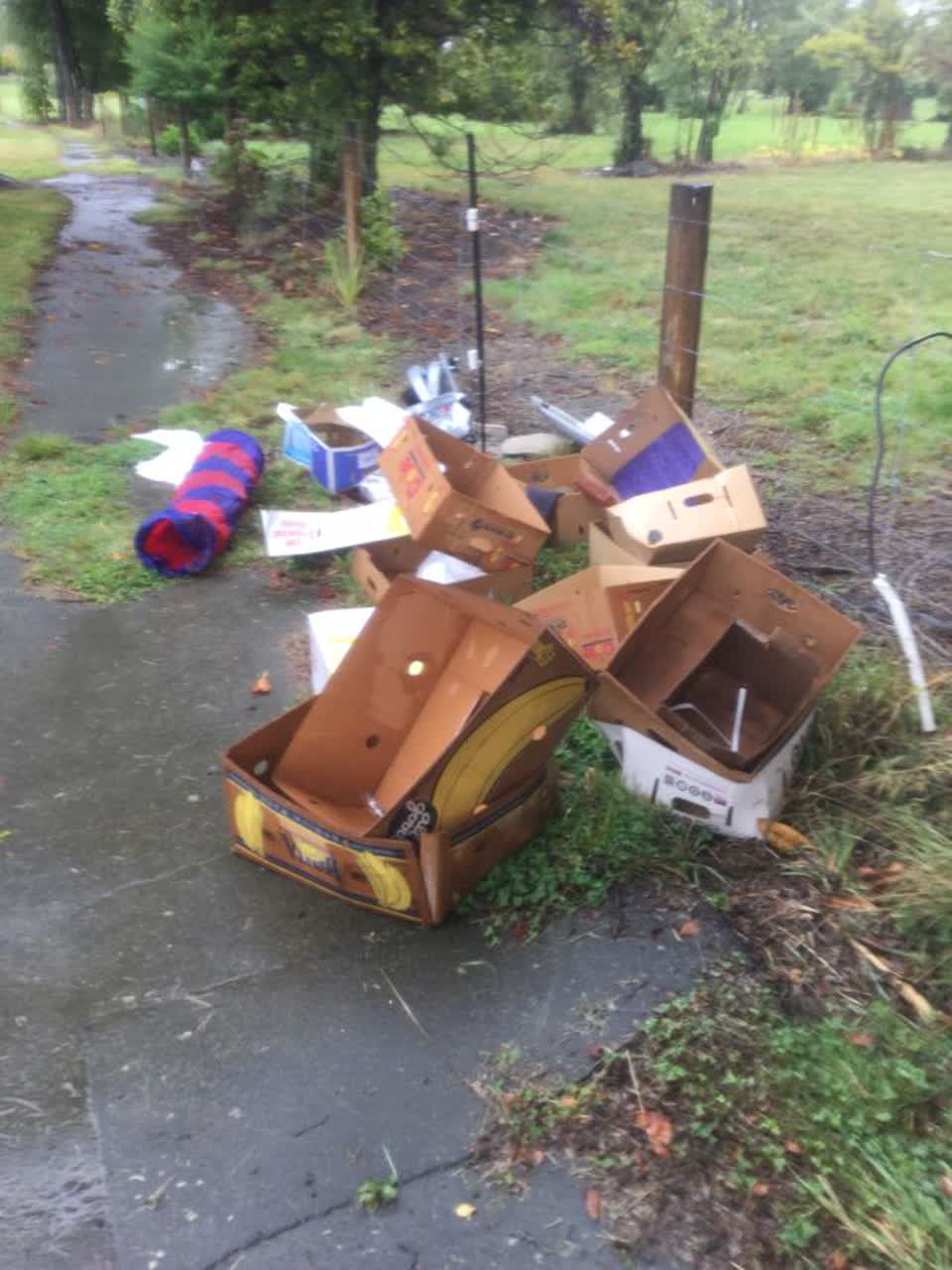 The photograph attached to this rubbish/recycling report