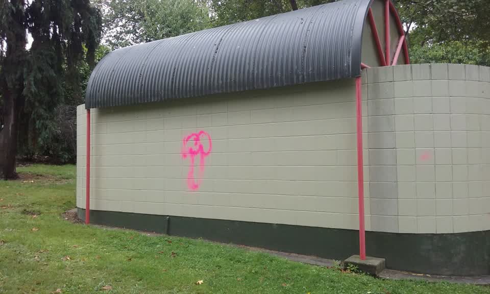The photograph attached to this graffiti report