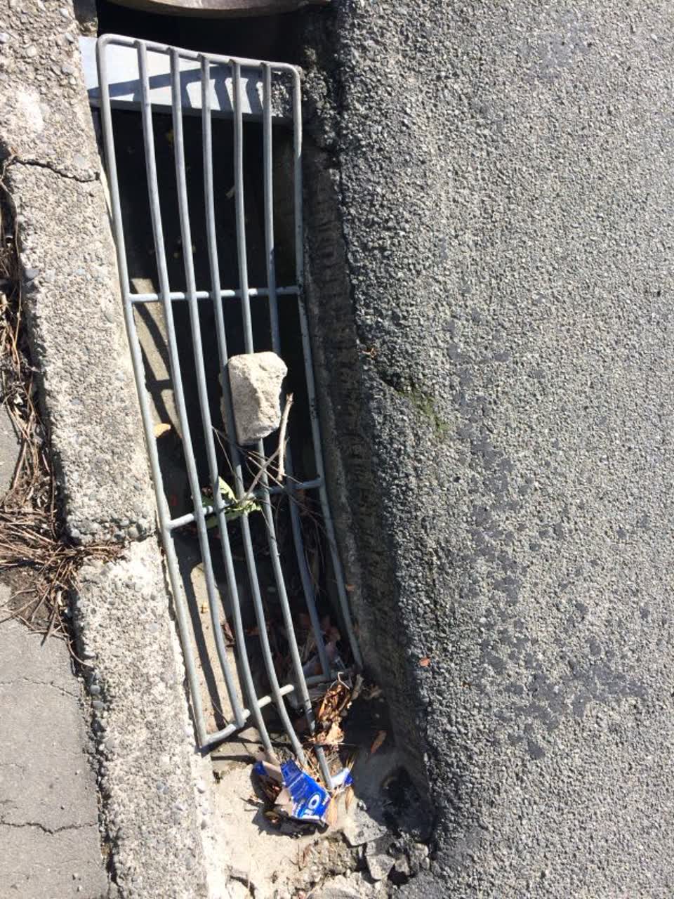 The photograph attached to this wastewater/stormwater report