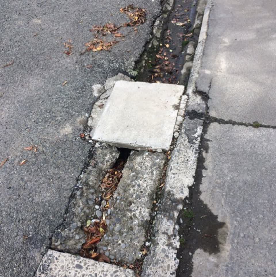 The photograph attached to this roading/streets report