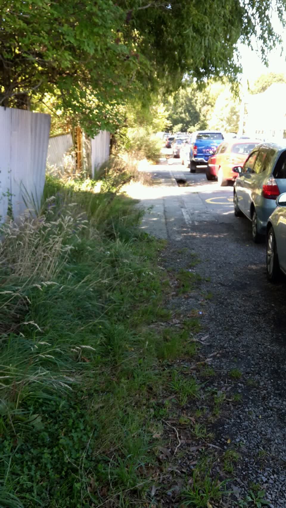 The photograph attached to this roading/streets report