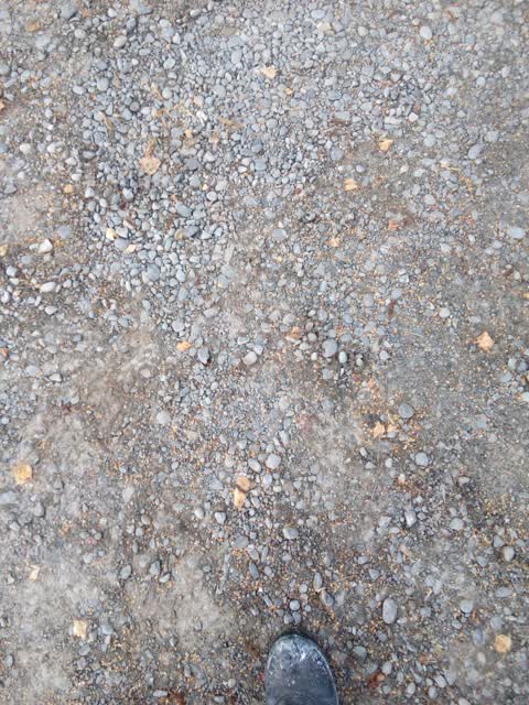 Roading/Streets, a report photo