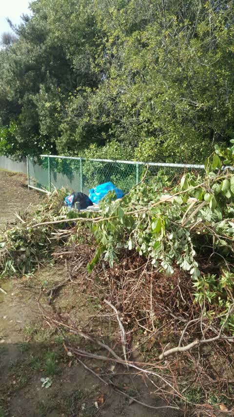 Rubbish/Recycling, a report photo