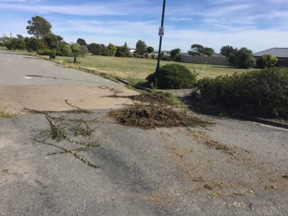 The photograph attached to this rubbish/recycling report