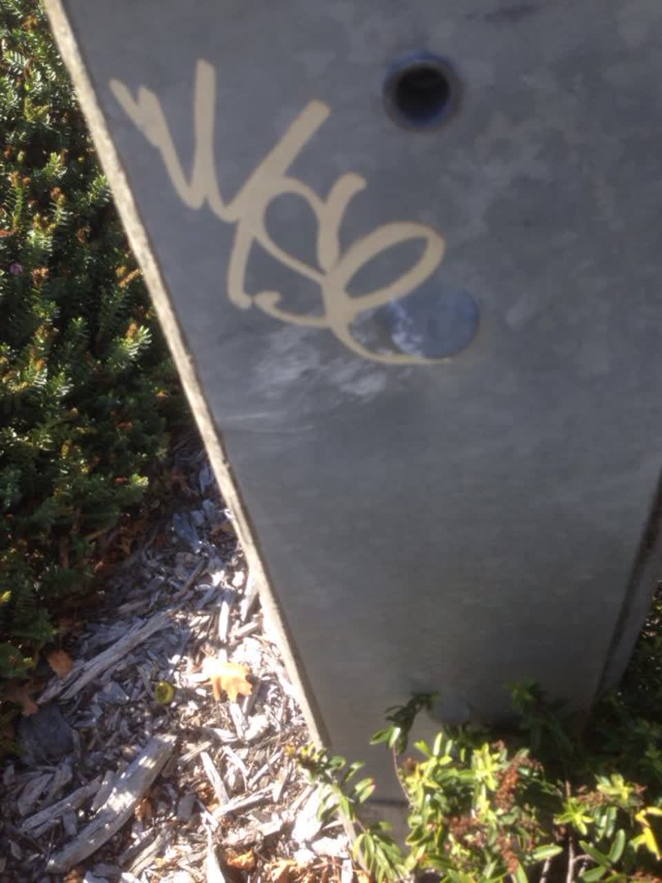 The photograph attached to this graffiti report