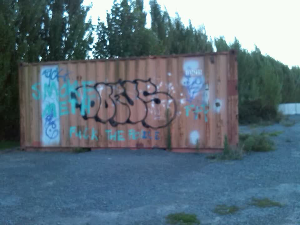 The photograph attached to this graffiti report