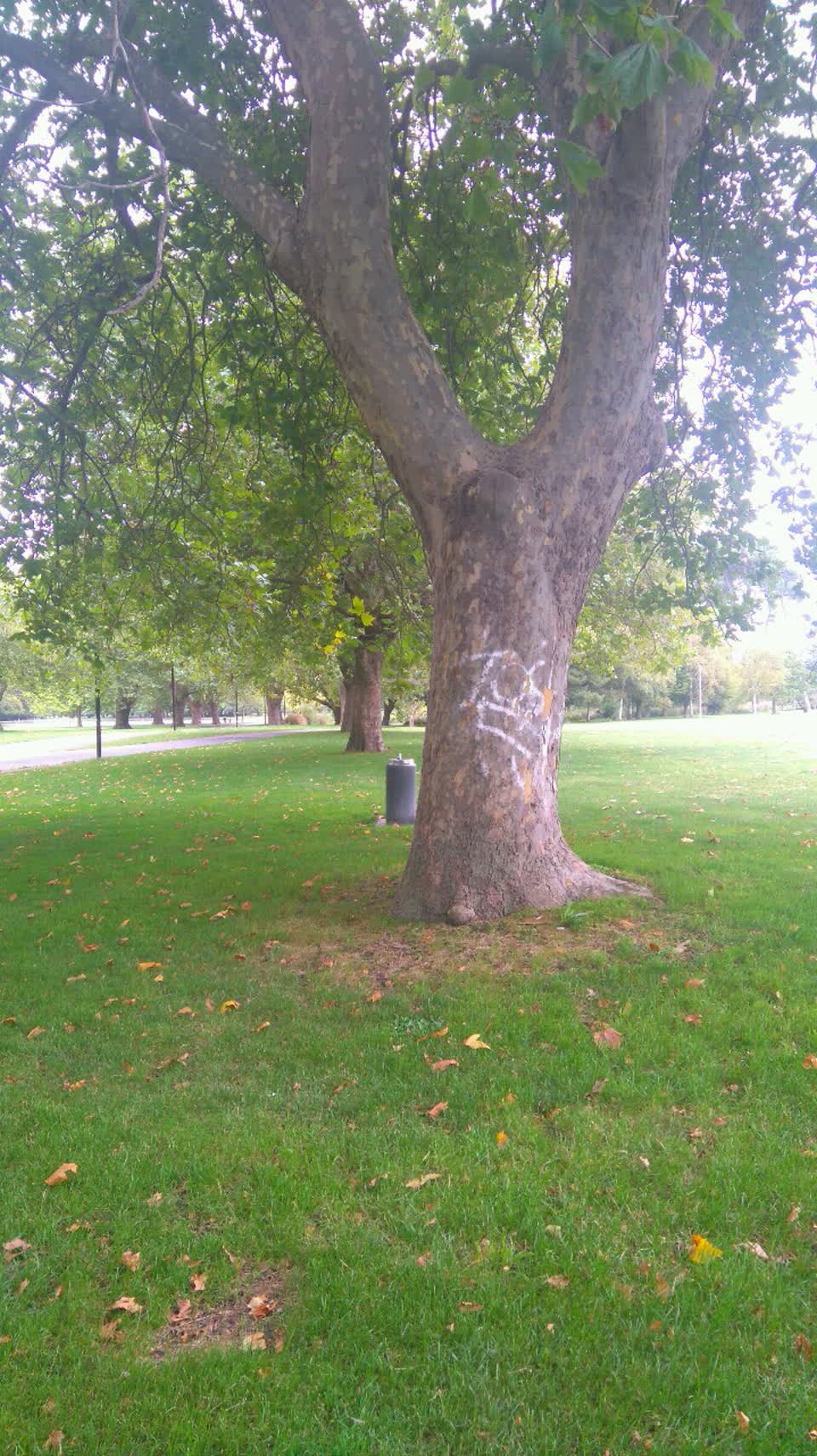 The photograph attached to this graffiti report