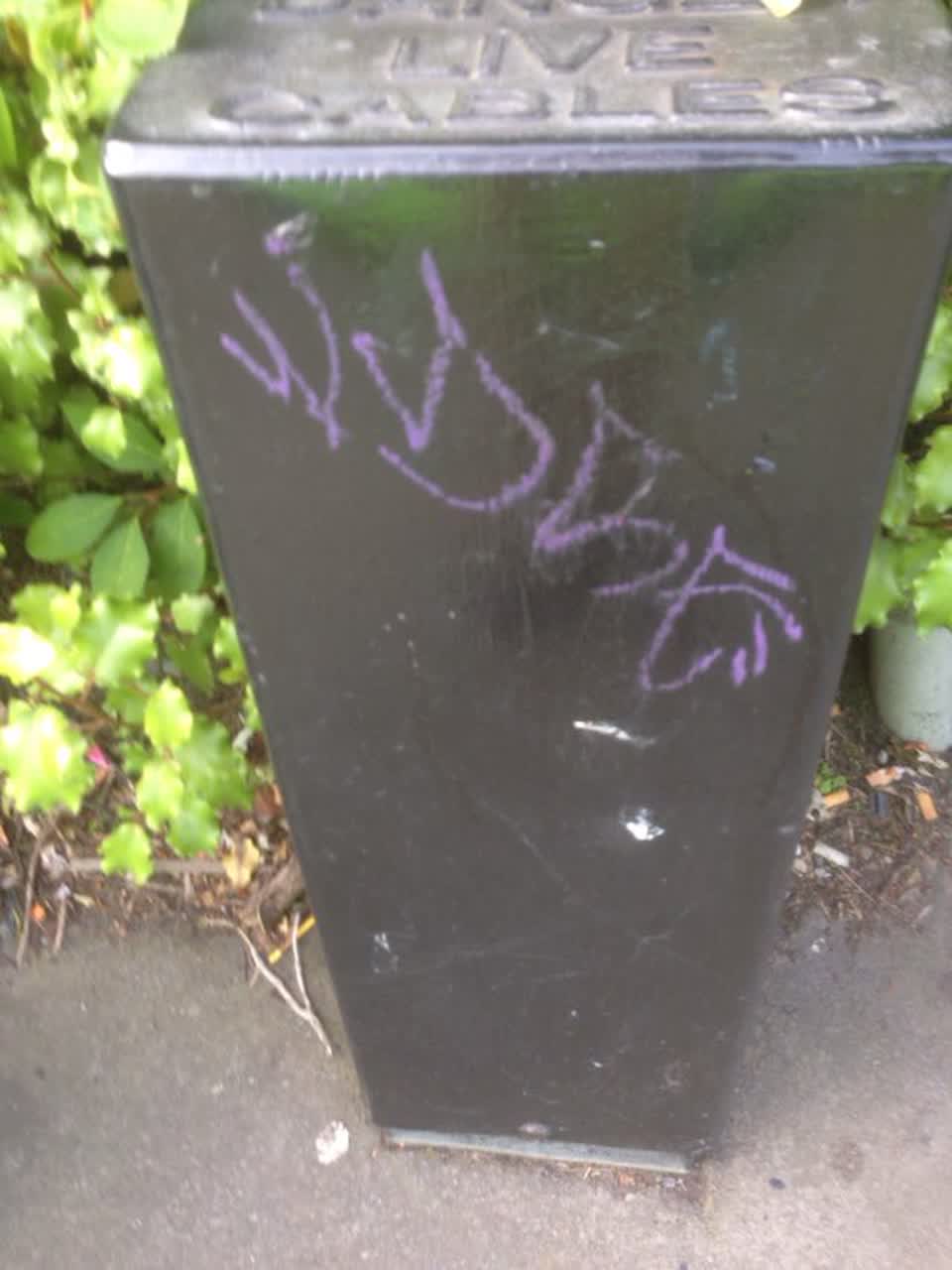 The photograph attached to this graffiti report